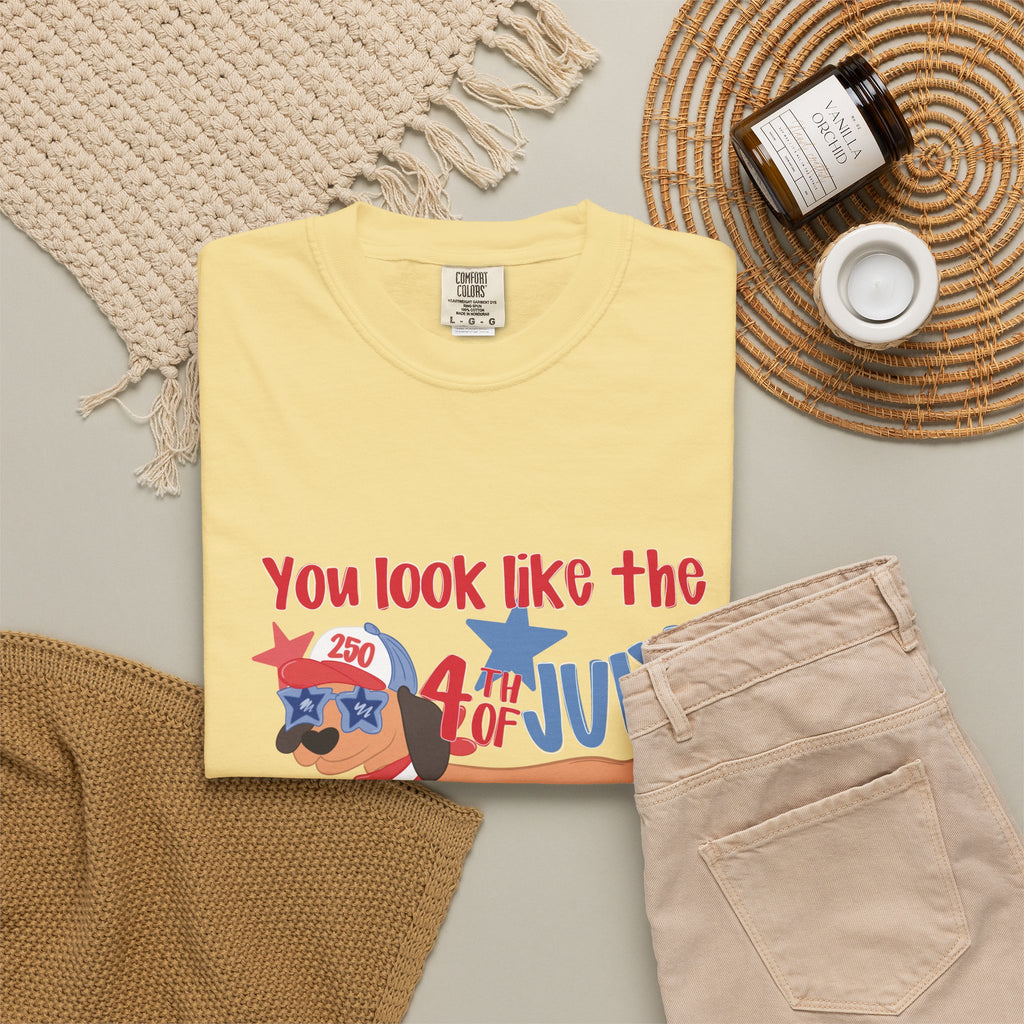 4th of July Hot Dog T-Shirt — "You Look Like the 4th of July Hotdog" Patriotic BBQ Tee
