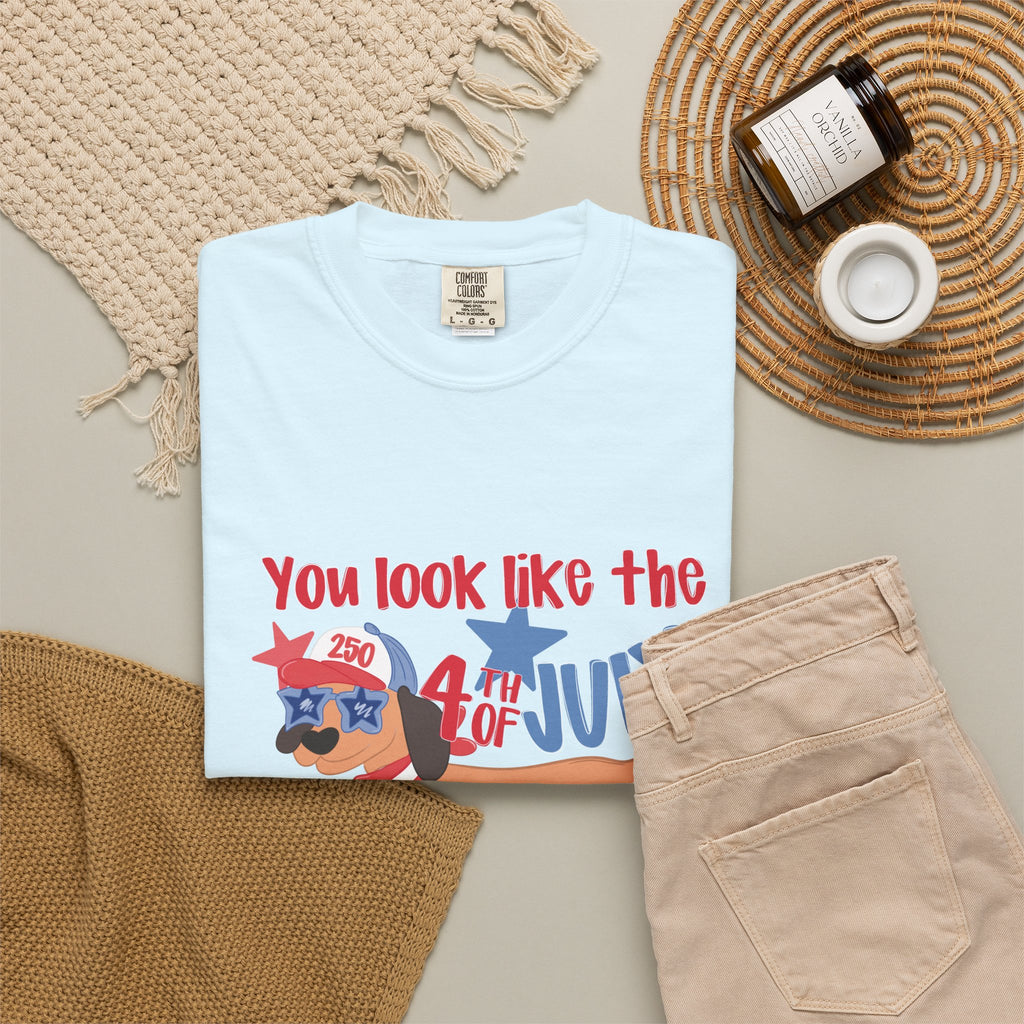 4th of July Hot Dog T-Shirt — "You Look Like the 4th of July Hotdog" Patriotic BBQ Tee