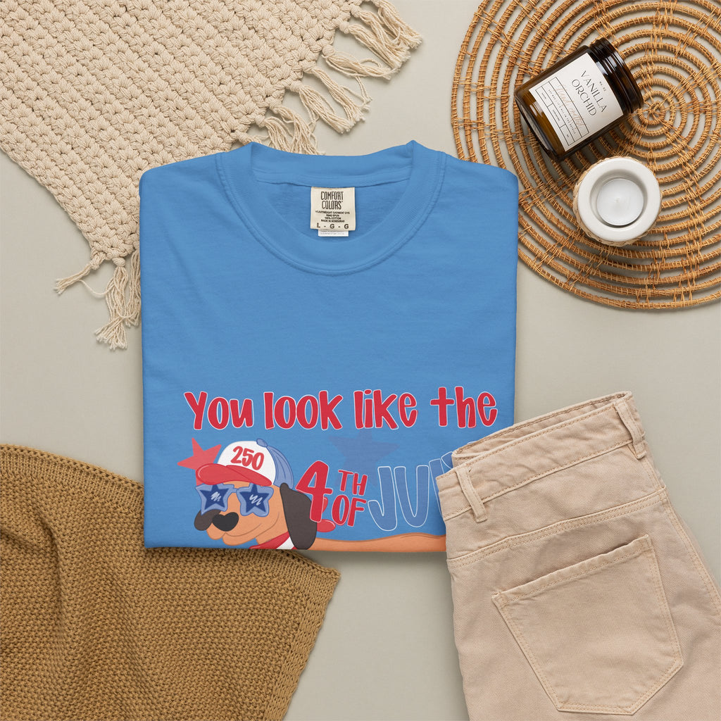 4th of July Hot Dog T-Shirt — "You Look Like the 4th of July Hotdog" Patriotic BBQ Tee