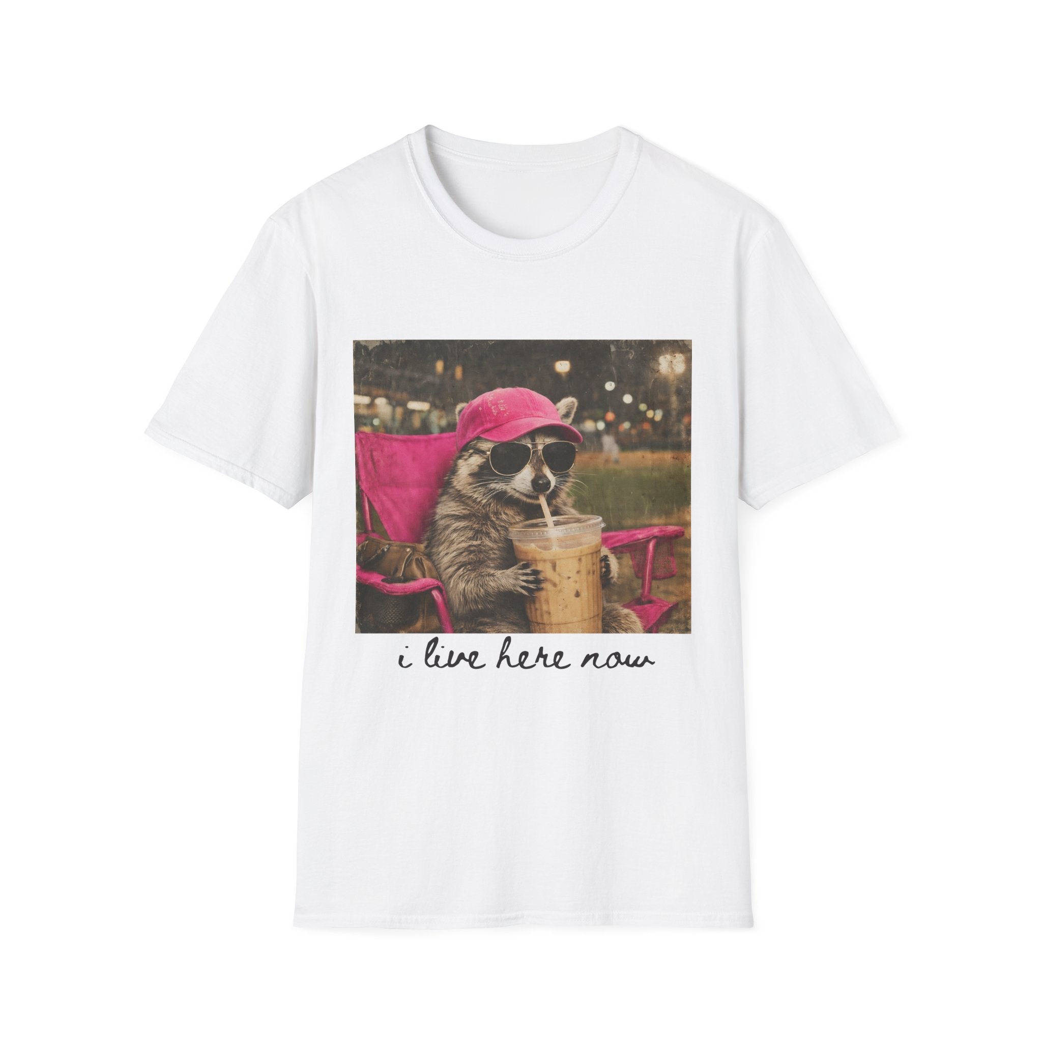 Raccoon Baseball/Softball Relaxing T-Shirt — 'Live Here Now' Retro Vacation Graphic Tee
