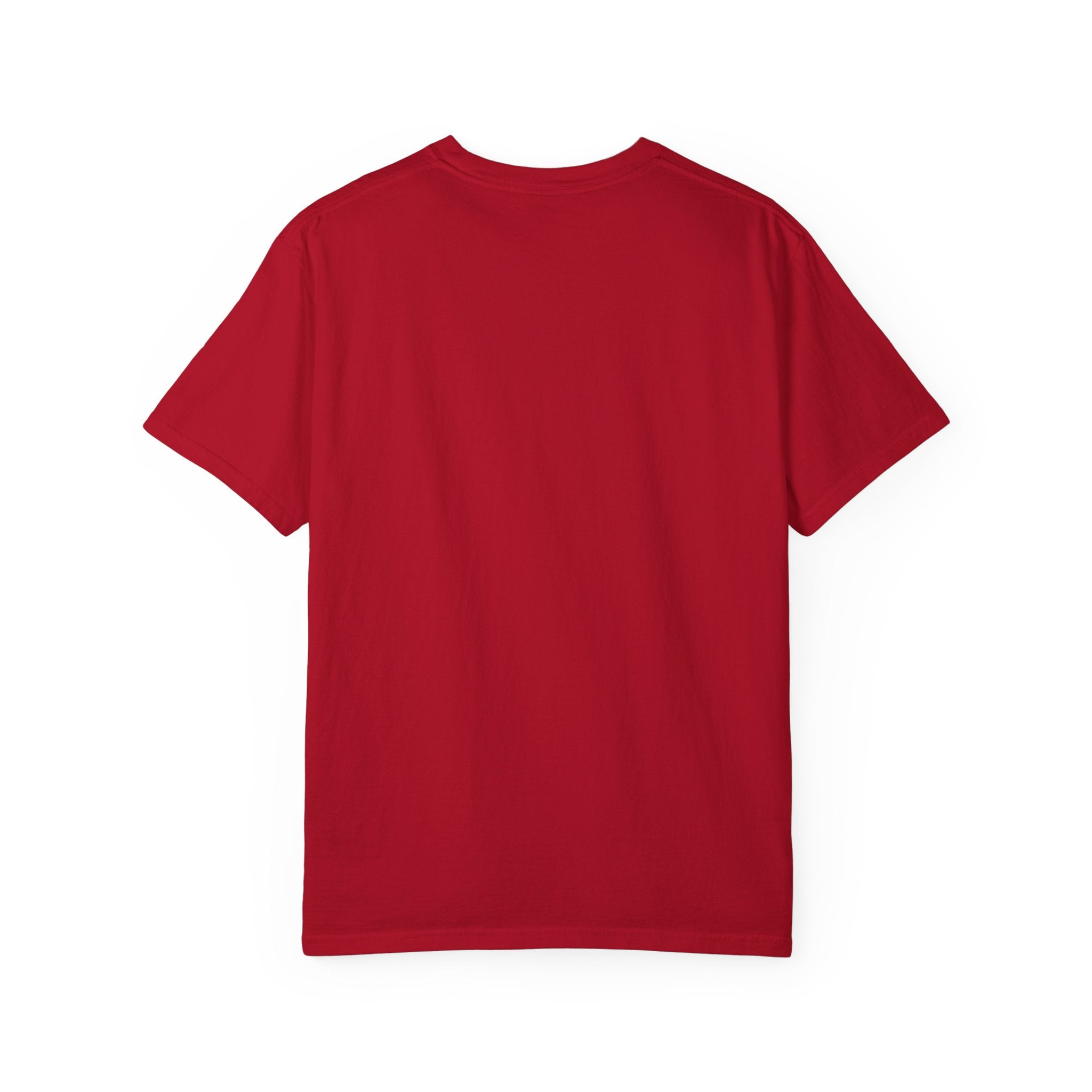 Patriotic Goose Graphic T-Shirt — "Proud Mama" Americana Tee
