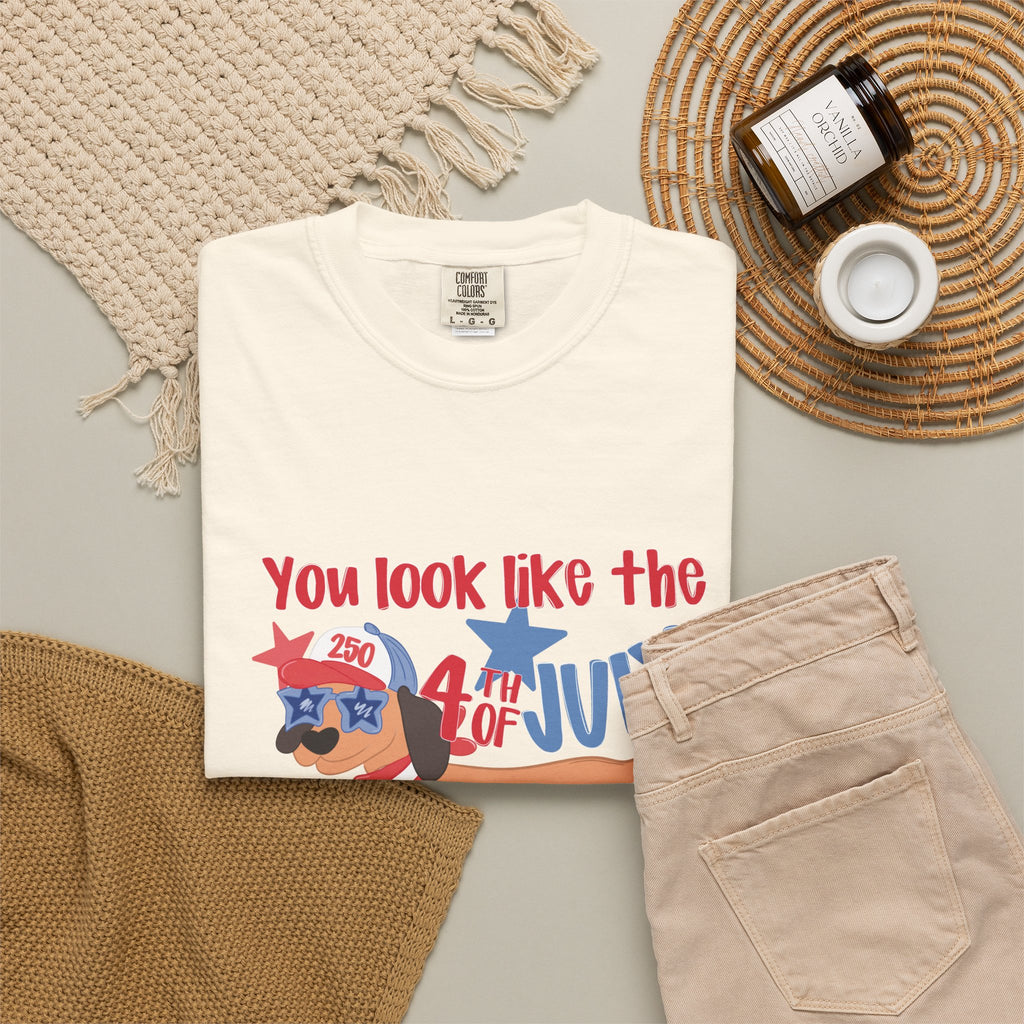 4th of July Hot Dog T-Shirt — "You Look Like the 4th of July Hotdog" Patriotic BBQ Tee