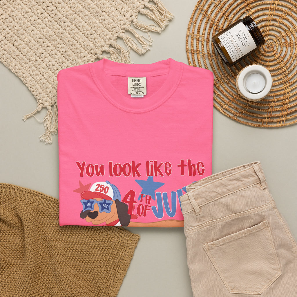 4th of July Hot Dog T-Shirt — "You Look Like the 4th of July Hotdog" Patriotic BBQ Tee