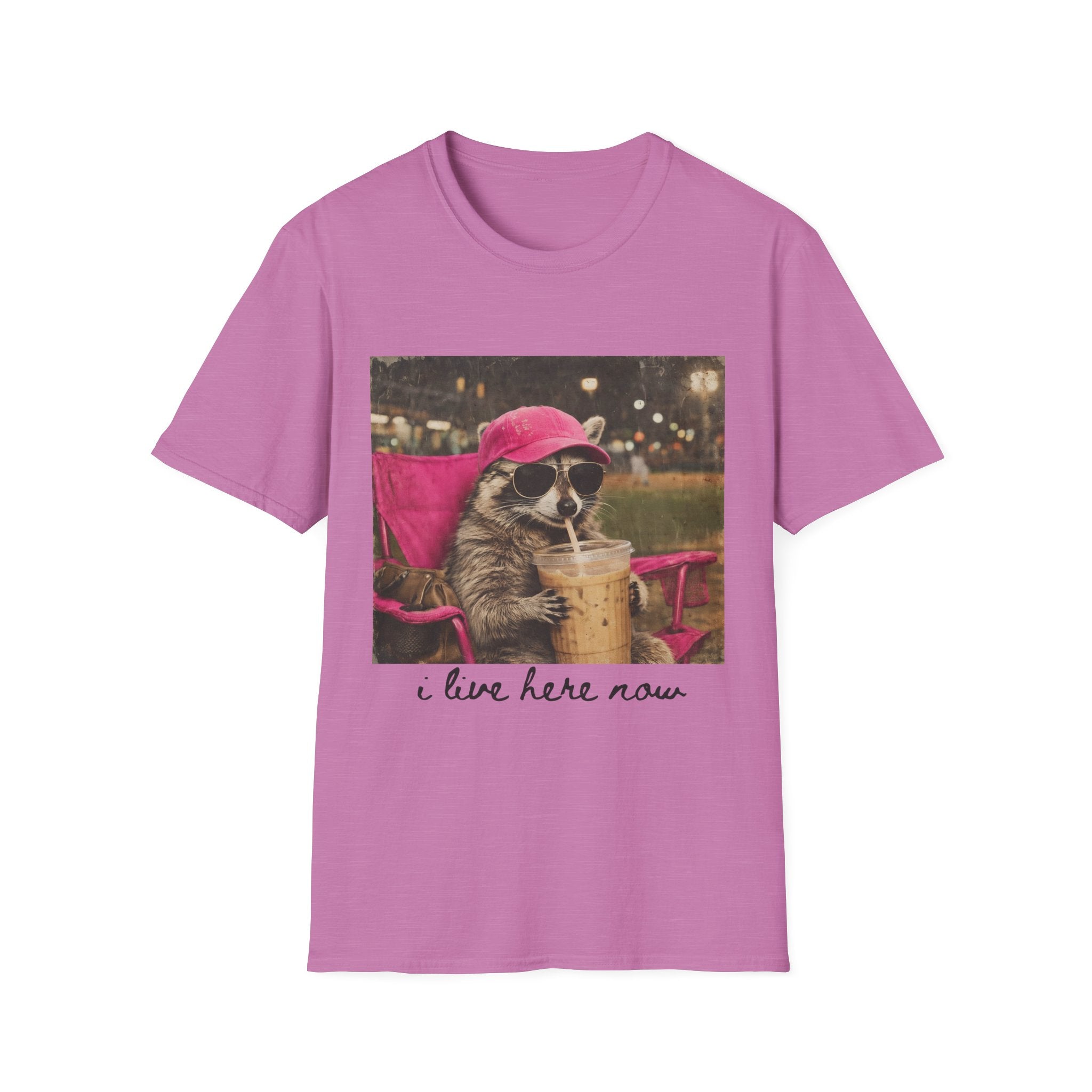 Raccoon Baseball/Softball Relaxing T-Shirt — 'Live Here Now' Retro Vacation Graphic Tee