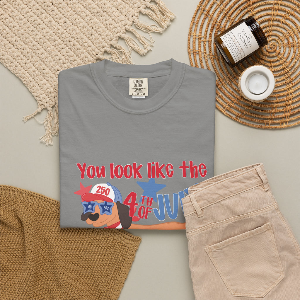 4th of July Hot Dog T-Shirt — "You Look Like the 4th of July Hotdog" Patriotic BBQ Tee