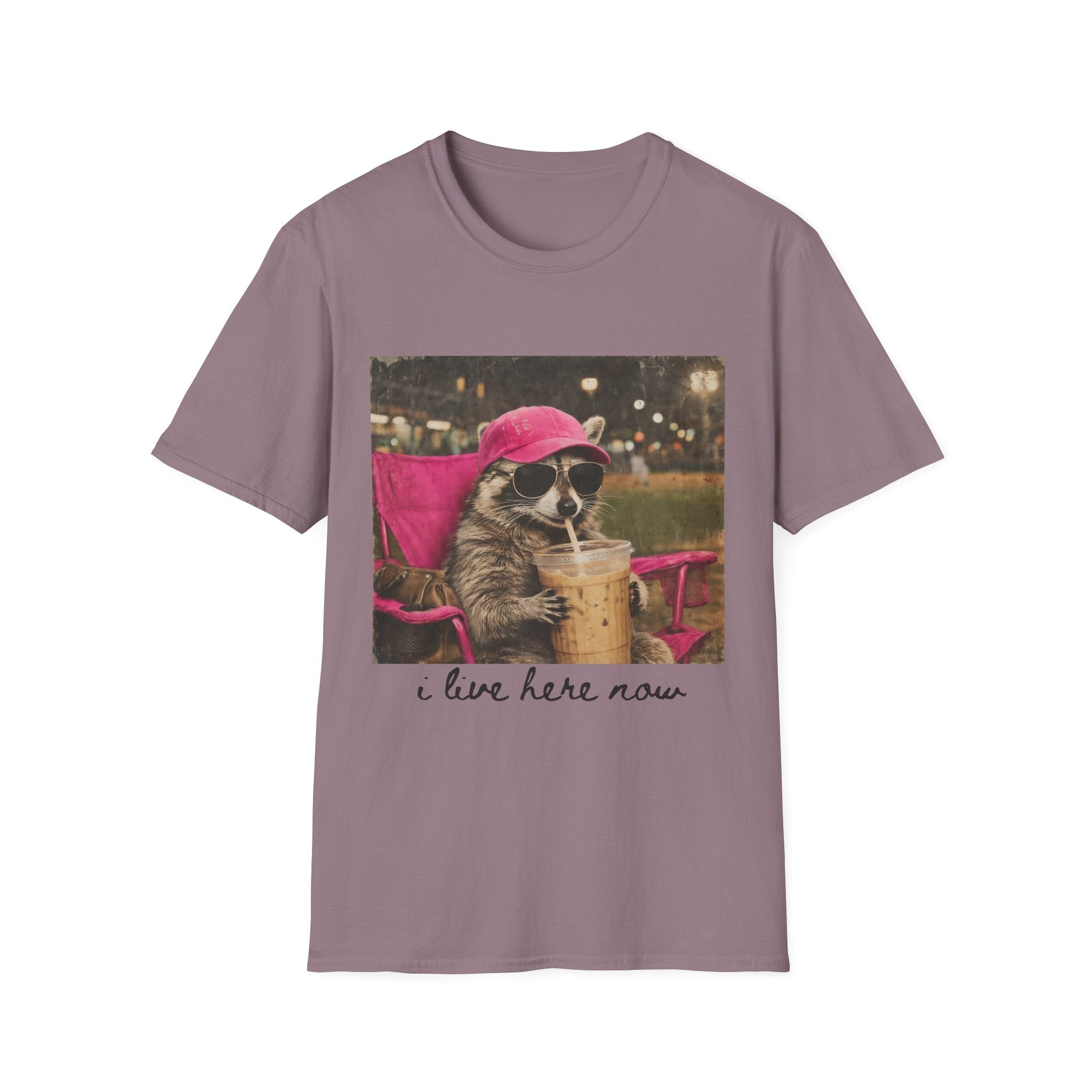 Raccoon Baseball/Softball Relaxing T-Shirt — 'Live Here Now' Retro Vacation Graphic Tee